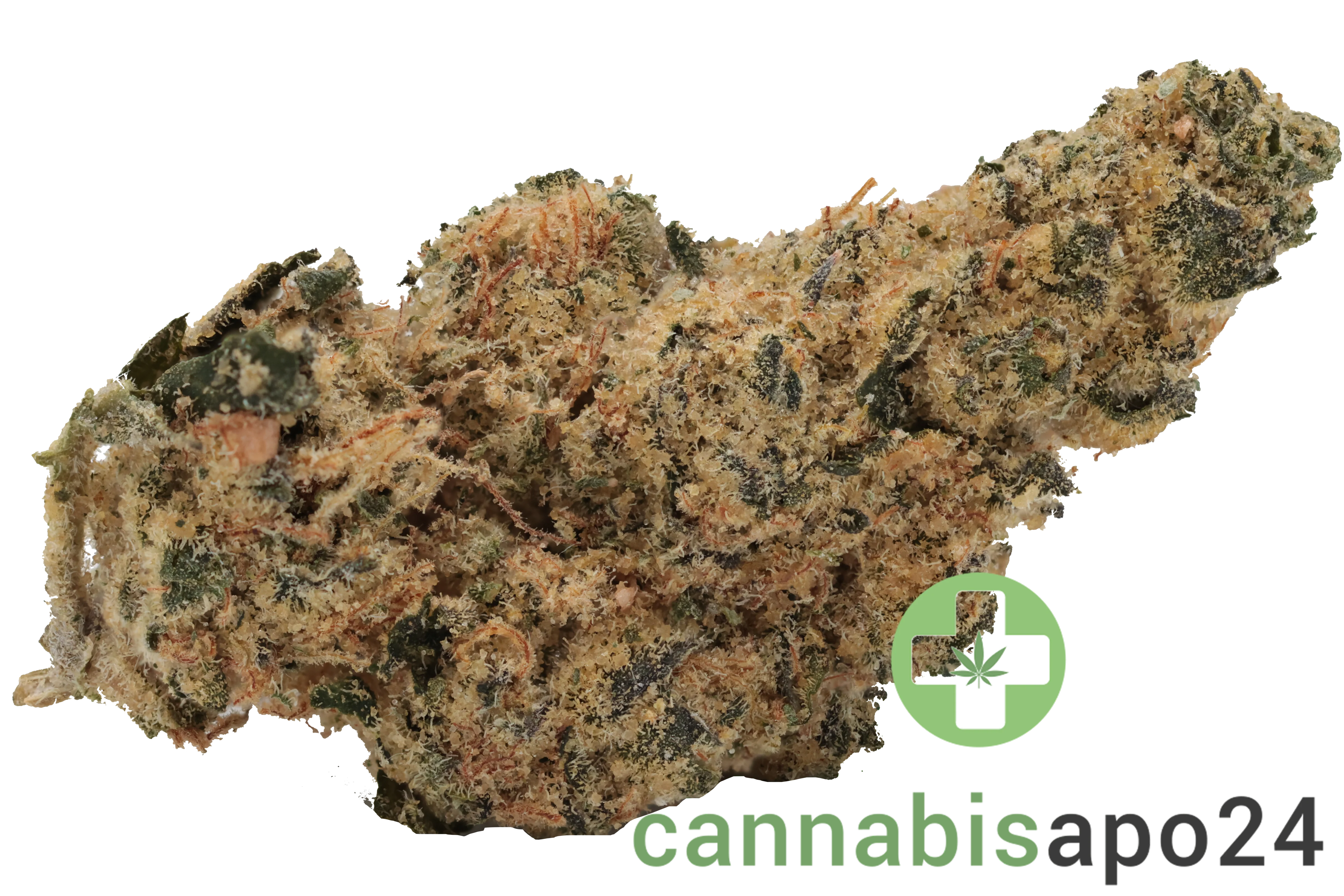 Vorschaubild 1